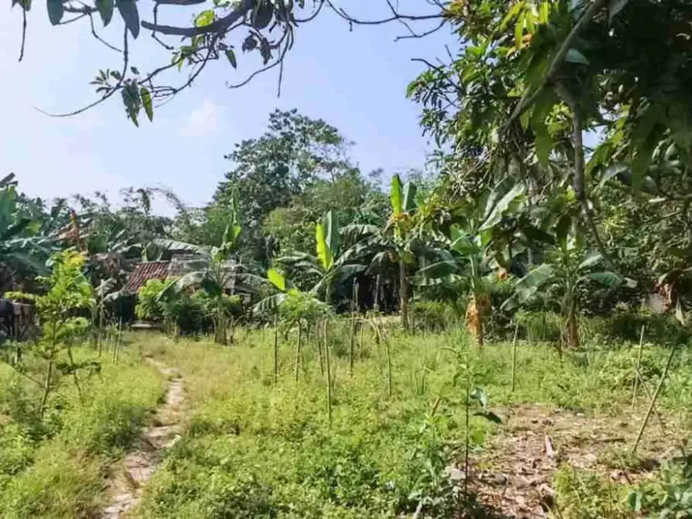 Jual lahan kebun
