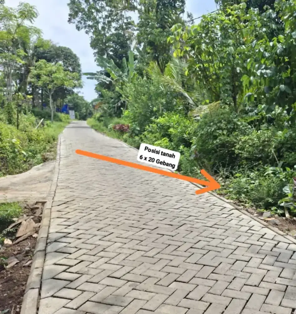 Tanah Pekarangan di Kasuari Gebang cocok untuk dibangun Hunian