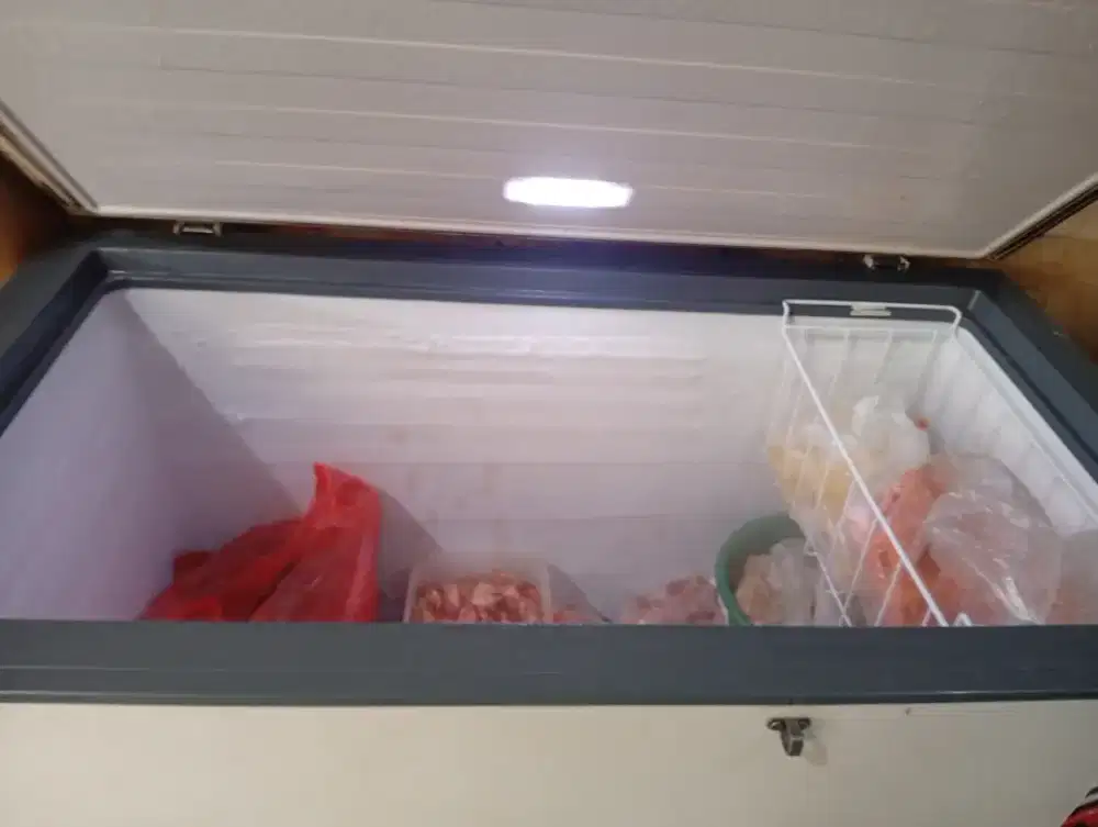 Mulus & Bagus freezer 318 Liter GEA