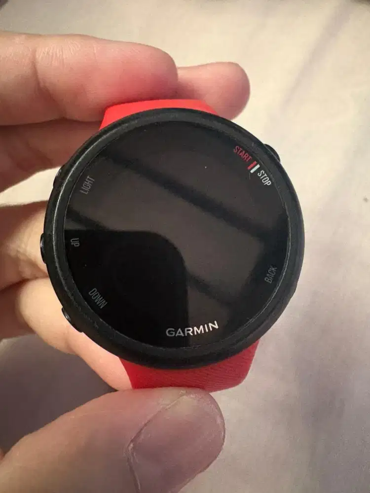 Garmin Forerunner 45