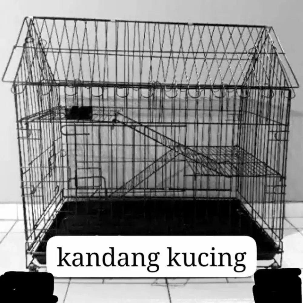 Kandang kucing masih baru