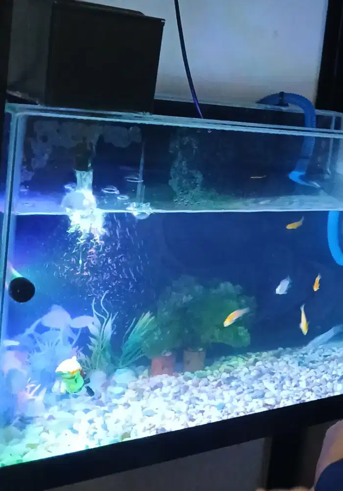 Aquarium 60 x 30 x 45