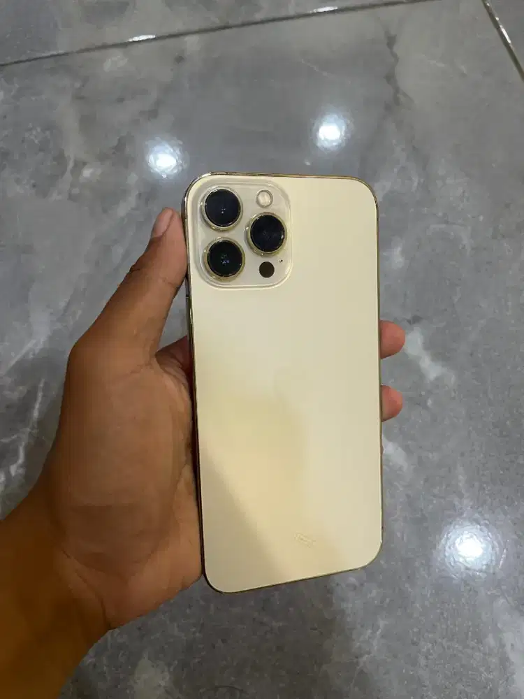 iPhone 13 pro max 256 ibox
