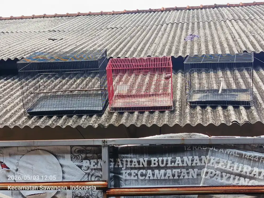Kandang besi kotak 3 biji