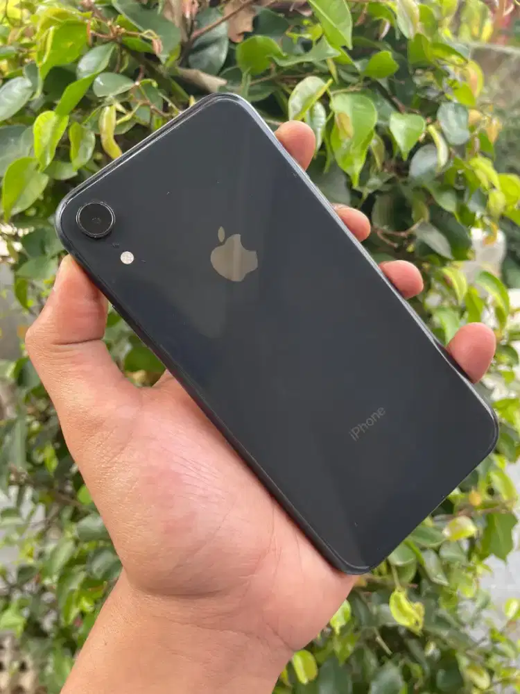 iPhone Xr 64Gb Black Mulus Fullset