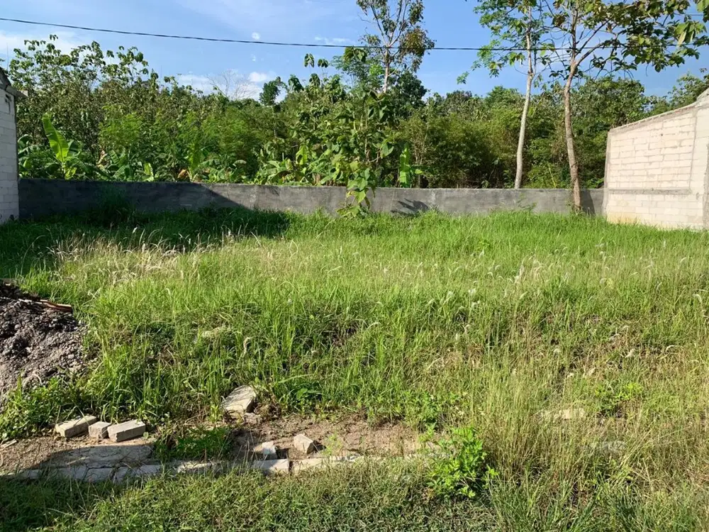 Dijual Tanah Siap Bangun Murah di Banyumeneng Mranggen Demak