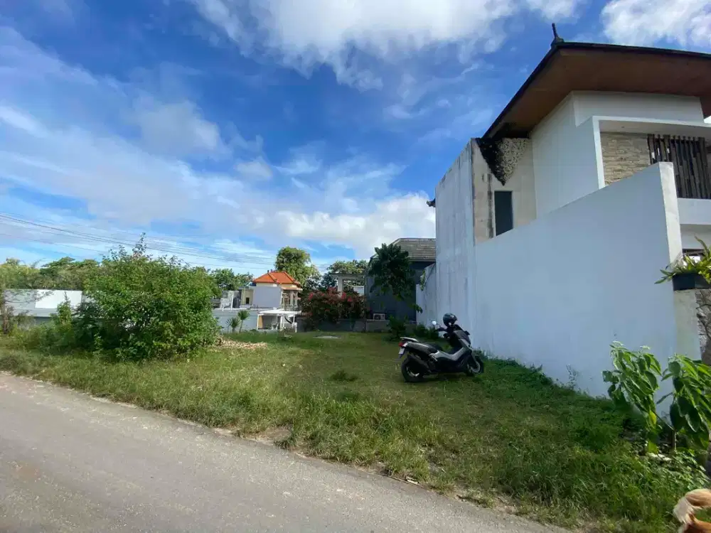 Tanah Murah Jalan Utama Mundeh Kutuh Cocok Untuk Villa Maupun Hunian Pribadi