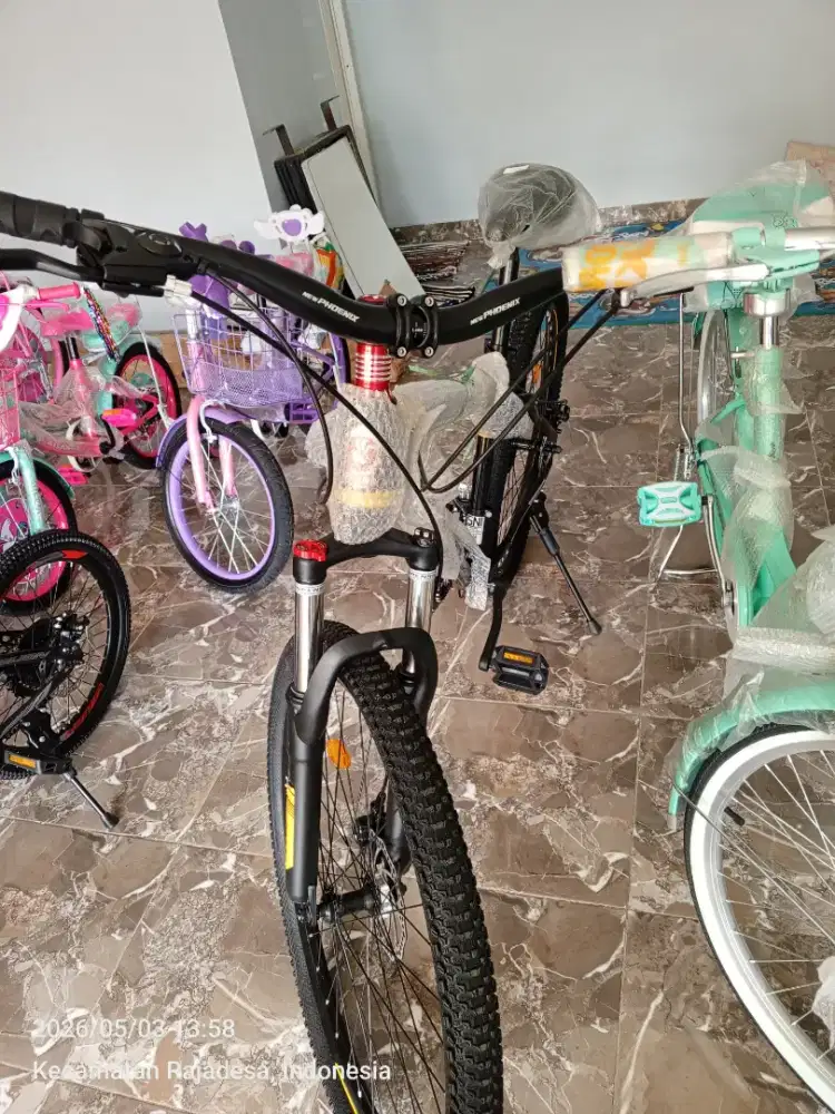 Speda MTB New Phoenix Pacifik