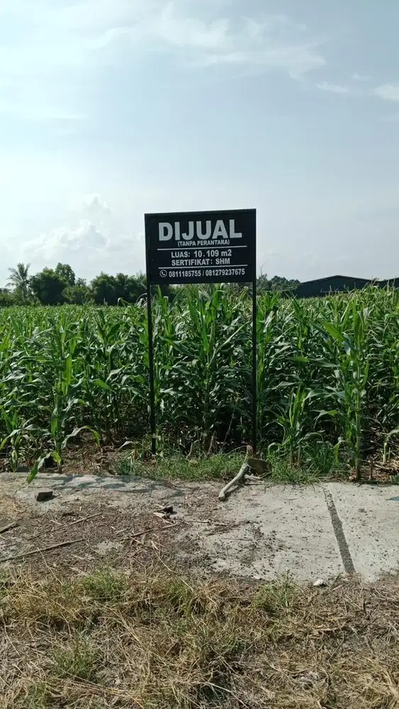 DIJUAL TANAH DI KALIANDA LAMPUNG SELATAN
