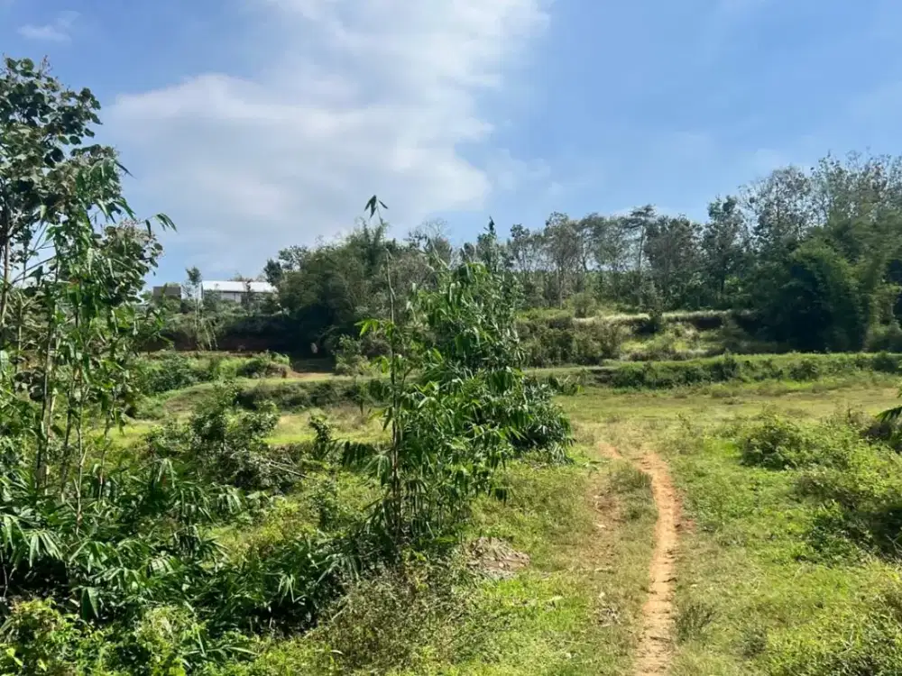 Tanah Kavling Harga 1 Jutaan – Akses Pinggir Jalan, Ideal untuk Berkebun
