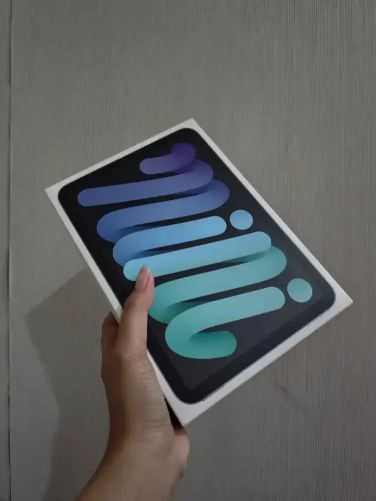 Ipad Mini 6 256Gb Inter Wifi Only