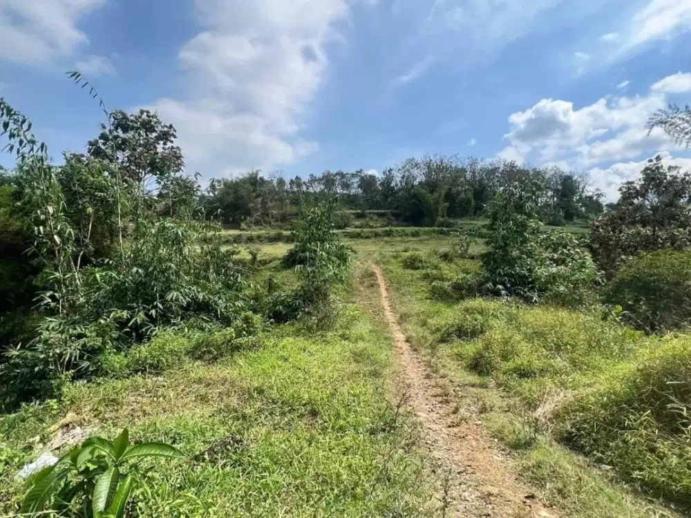 Tanah Strategis 1 Jutaan – Pinggir Jalan, Siap untuk Lahan Kebun