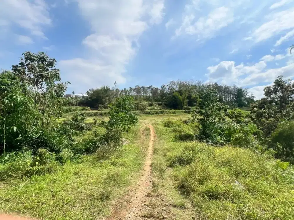 Tanah Kavling Pinggir Jalan – Harga 1 Jutaan, Cocok untuk Investasi & Kebun