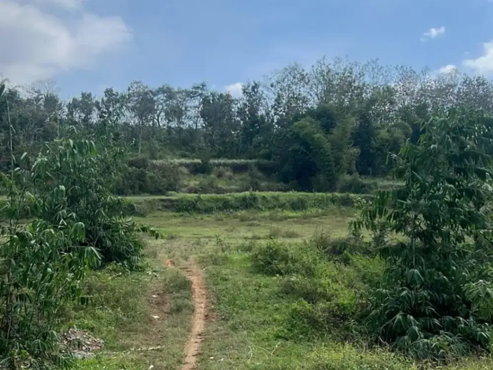 Tanah Siap Pakai Pinggir Jalan – Harga 1 Jutaan, Cocok untuk Kebun Impian