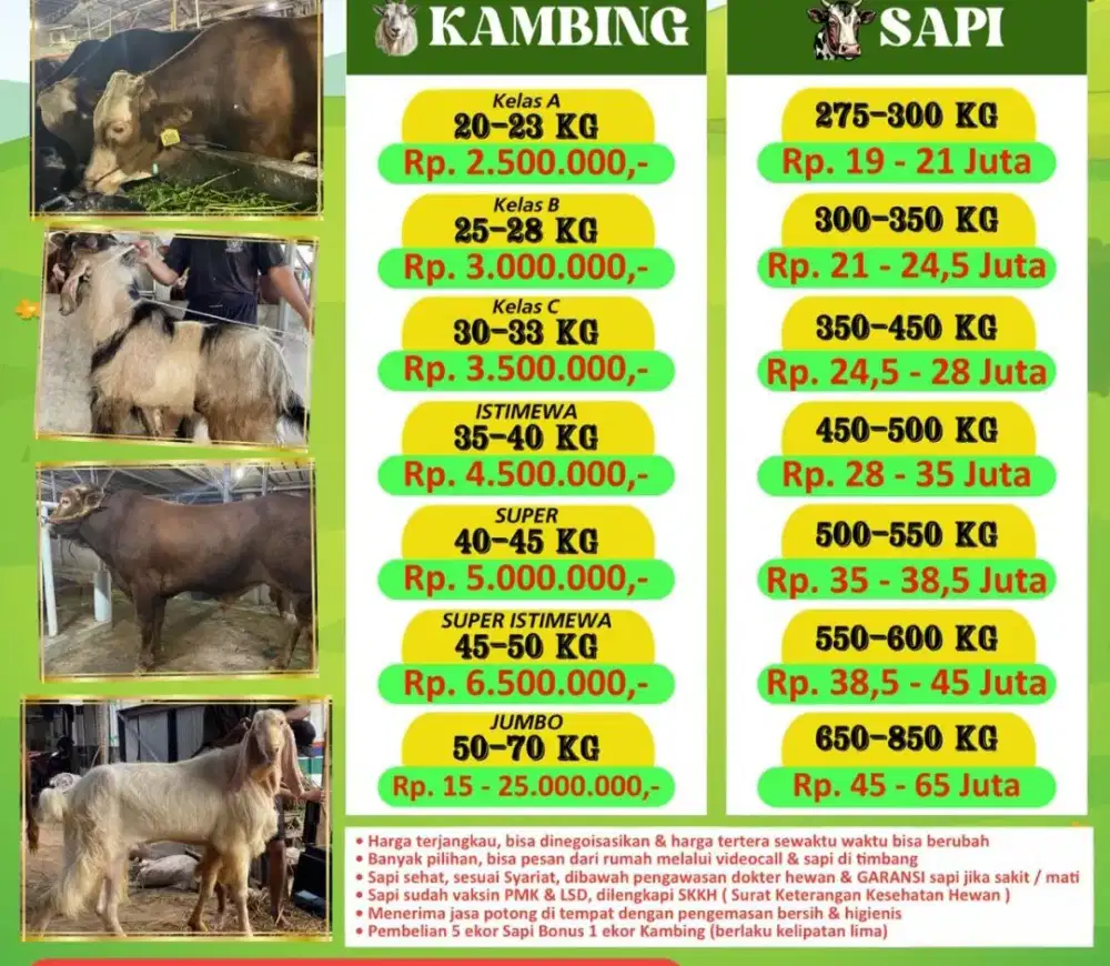 JUAL KURBAN SAPI DAN KAMBING