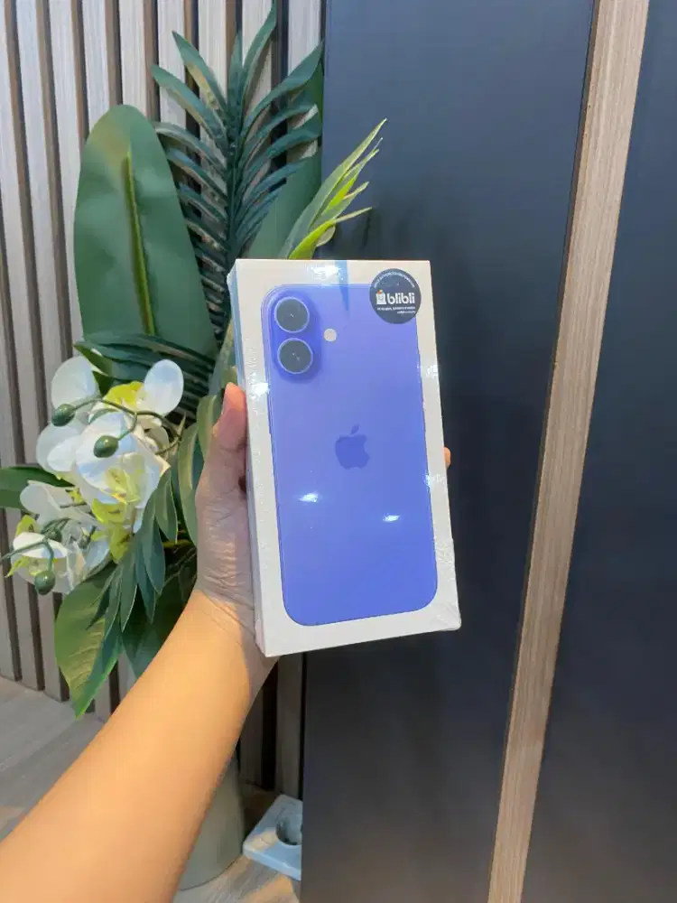 16 128 ultramarine new