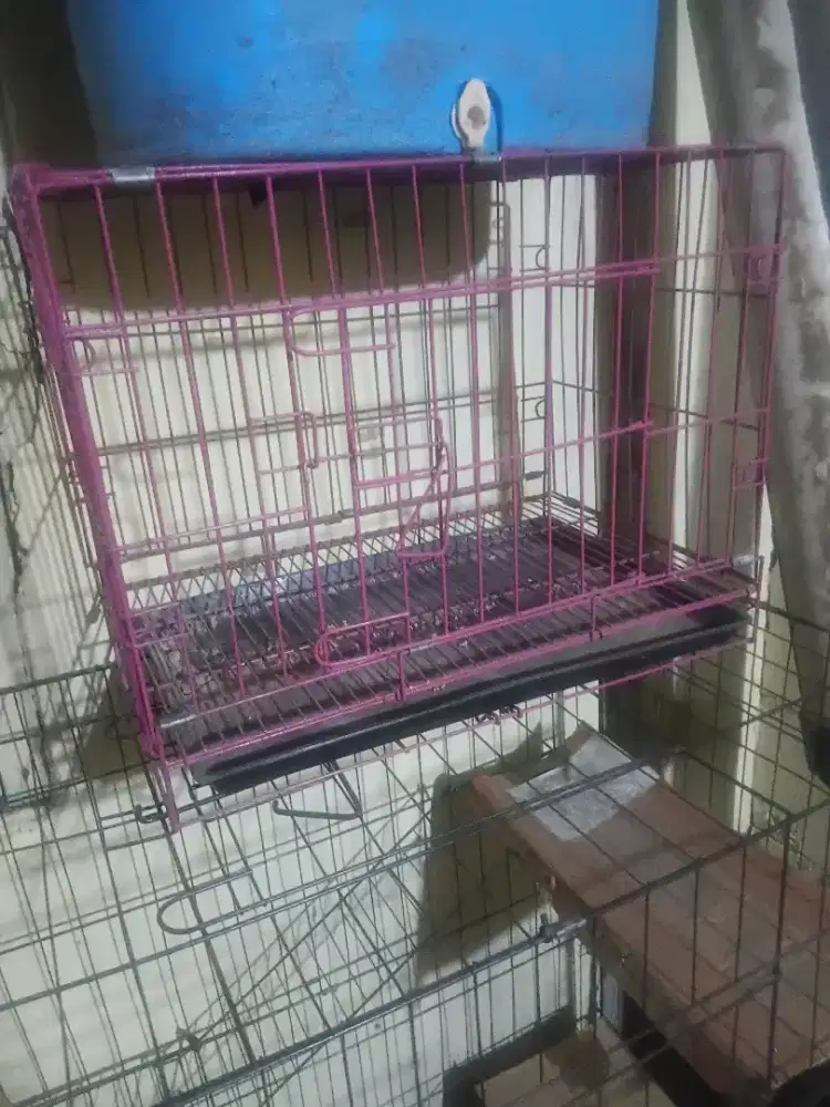 Jual kandang kucing