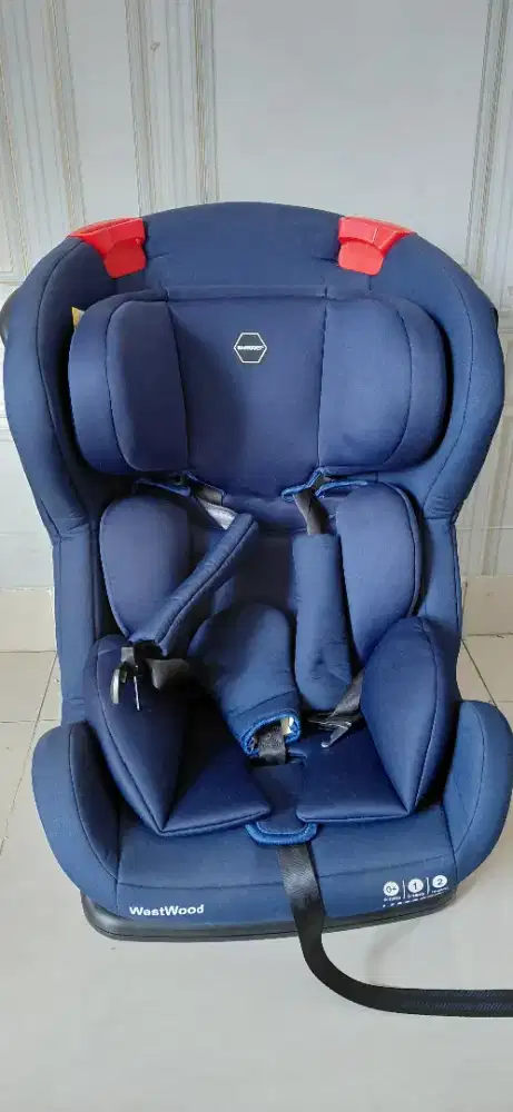 Car Seat Babydoes
