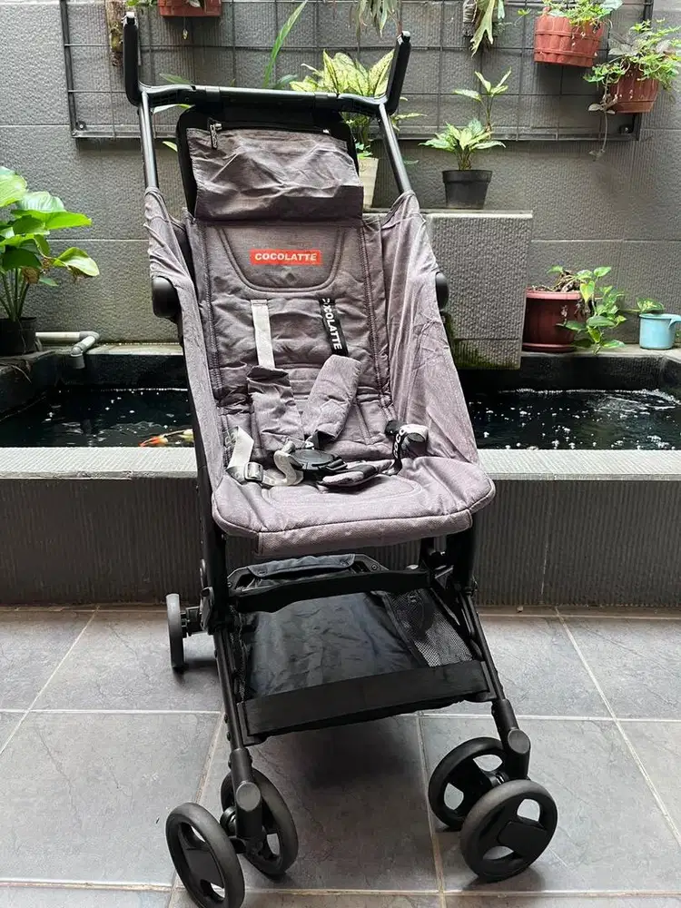 Cocolatte minima +