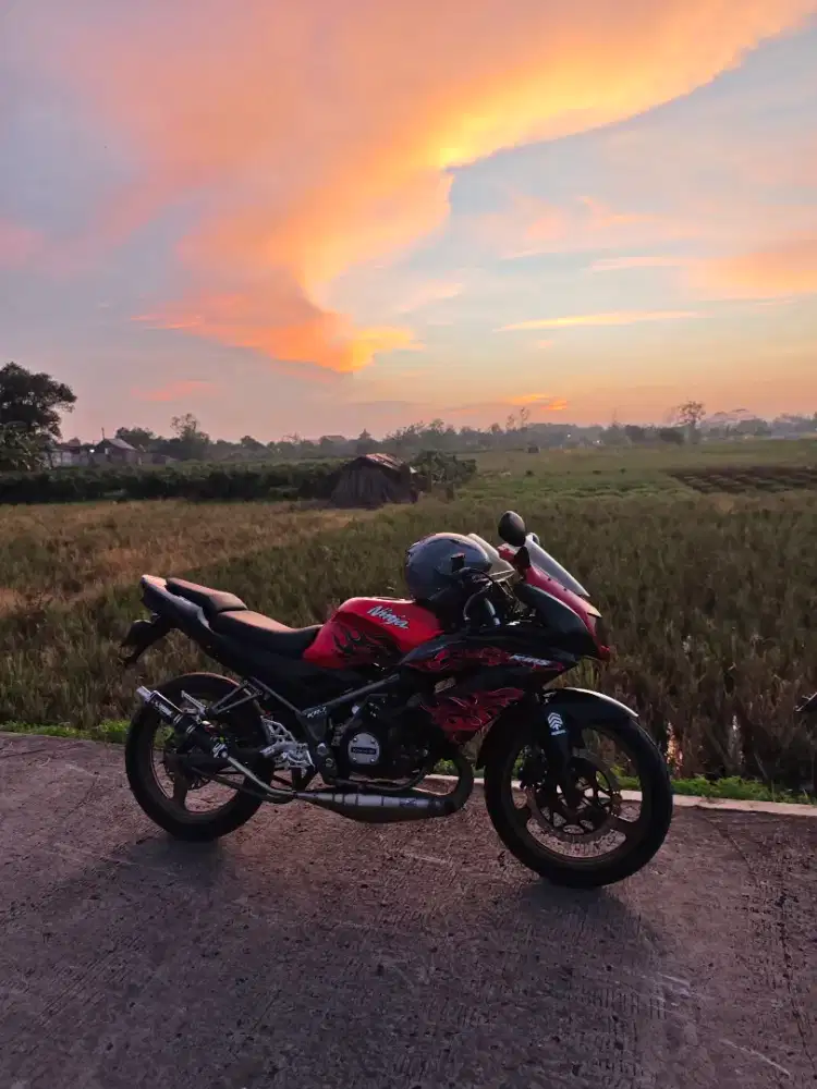 Ninja RR New SE 2013