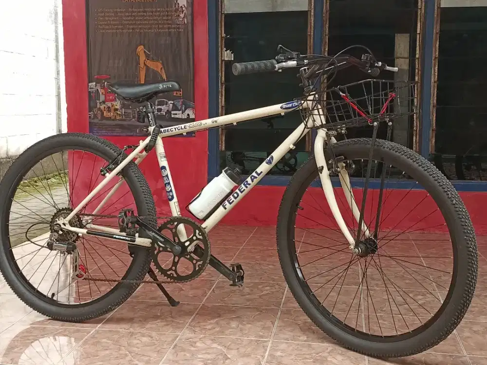 Sepeda Federal street cat commuter
