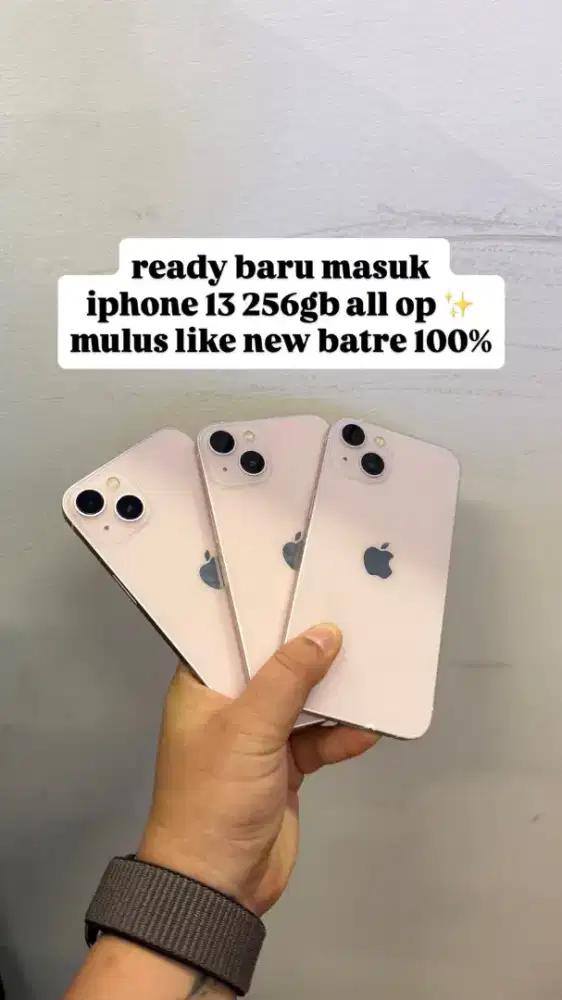 iPhone 13 256gb ex inter