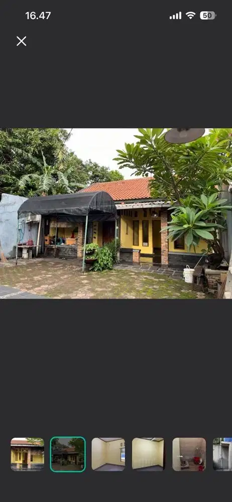 Kontrakan 2 Kamar Besar 3jt/bln Privasi Pet Friendly