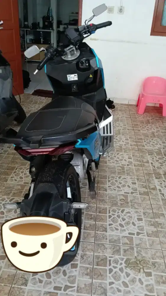 Jual Alva cervo tahun 2024