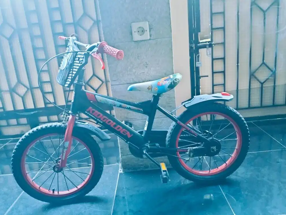 Sepeda anak jarang pakai
