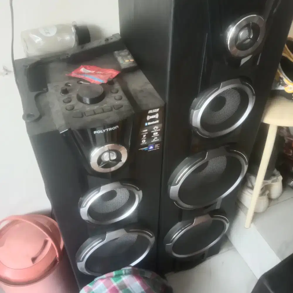 Speaker polytron 8EF28