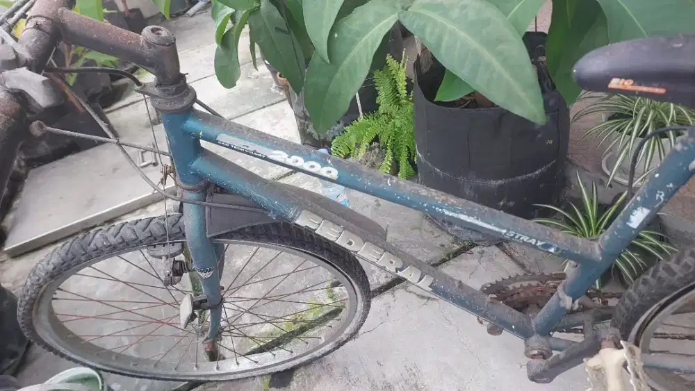Jual Sepeda Federal (bisa nego)