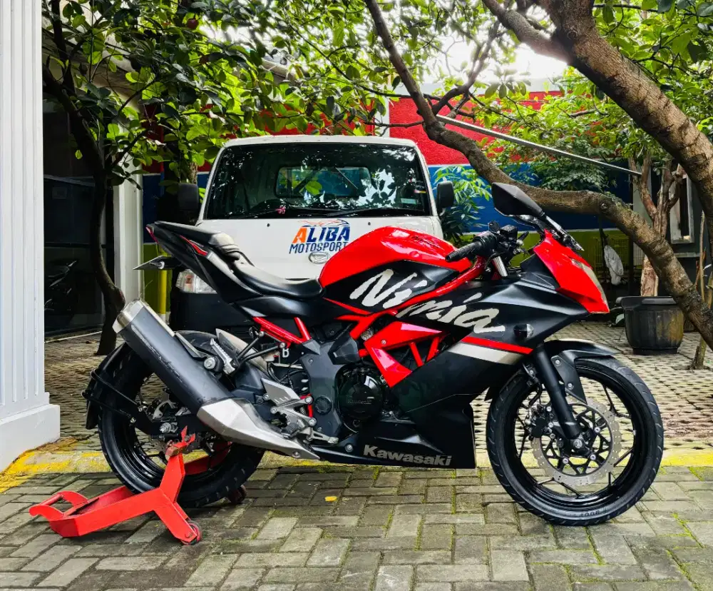 Kawasaki ninja 250 sl mono