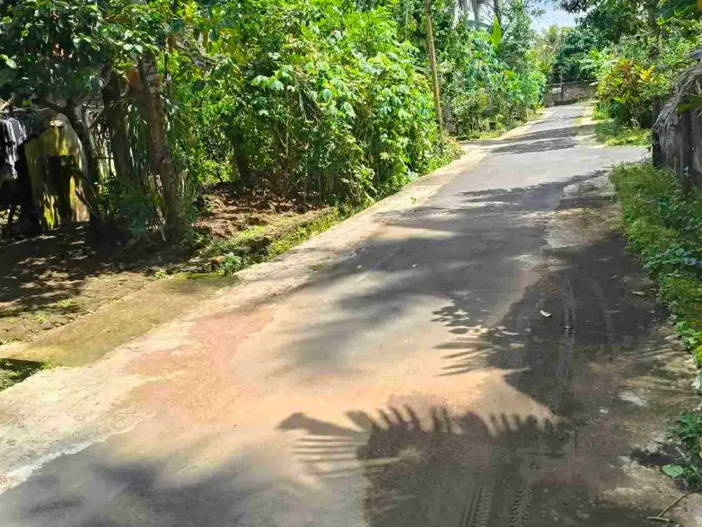 tanah minggir