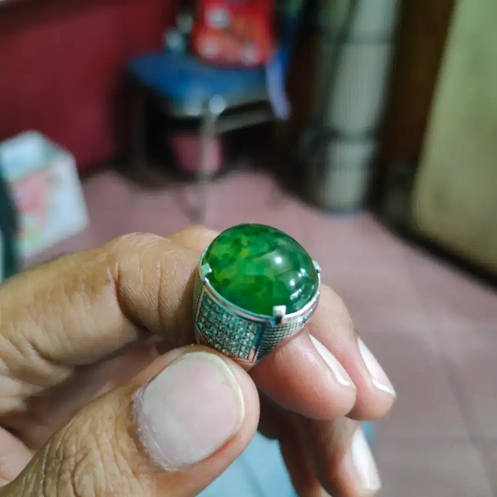 cincin lumut kumbang jati bakan bacan