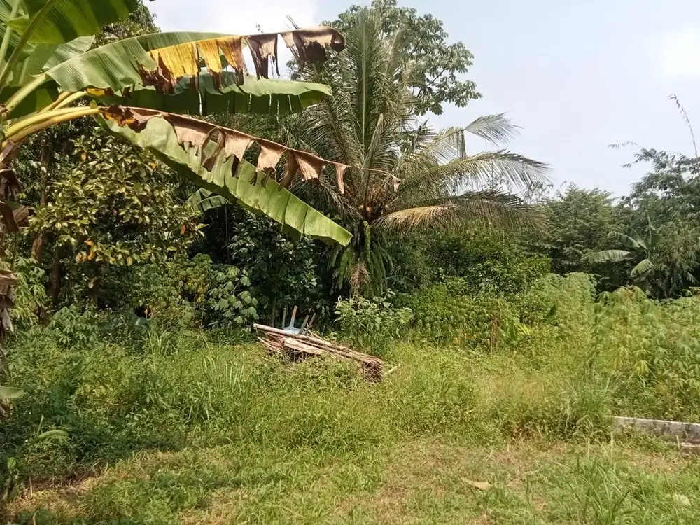 Dijual Cepat Tanah Kosong