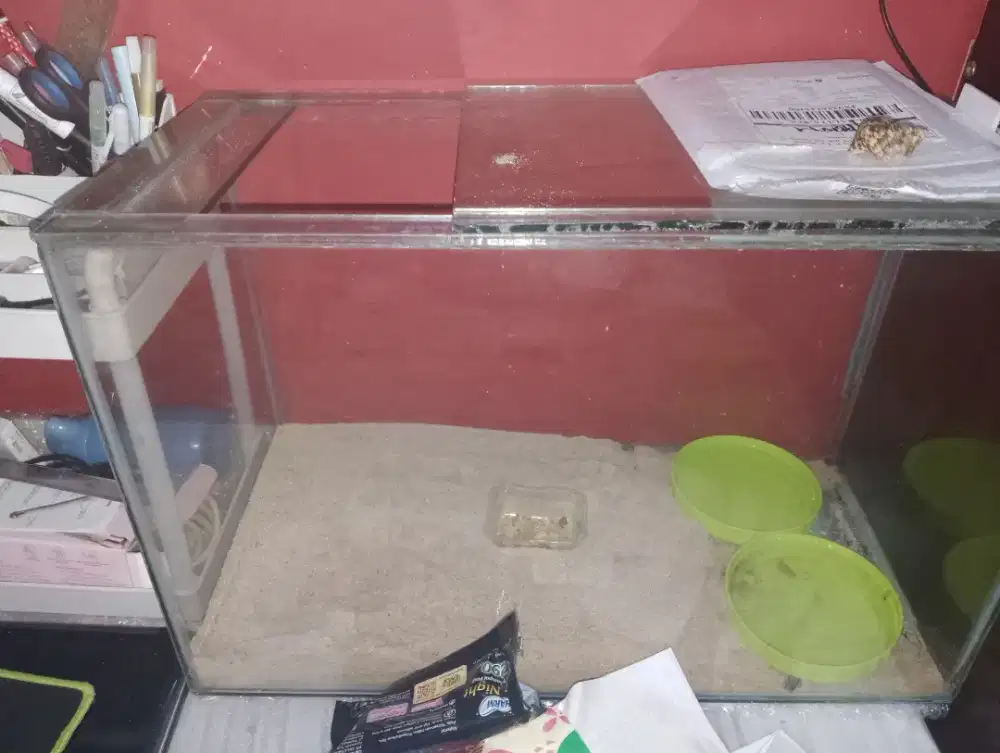 aquarium panjang 60cm