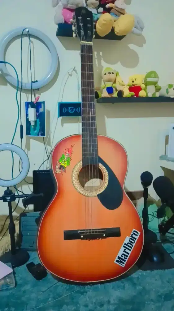 Guitar akustik Shen shen