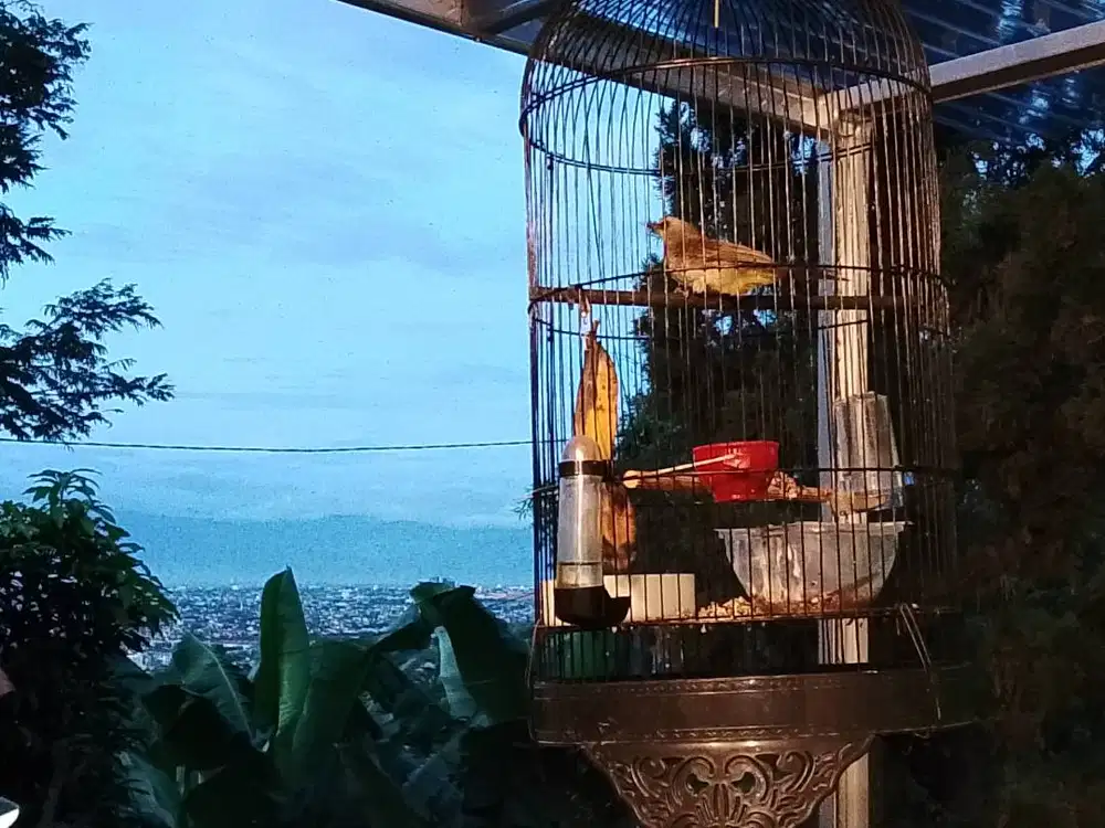 RUMAH SEJUK VIEW BAGUS PASIRIMPUN