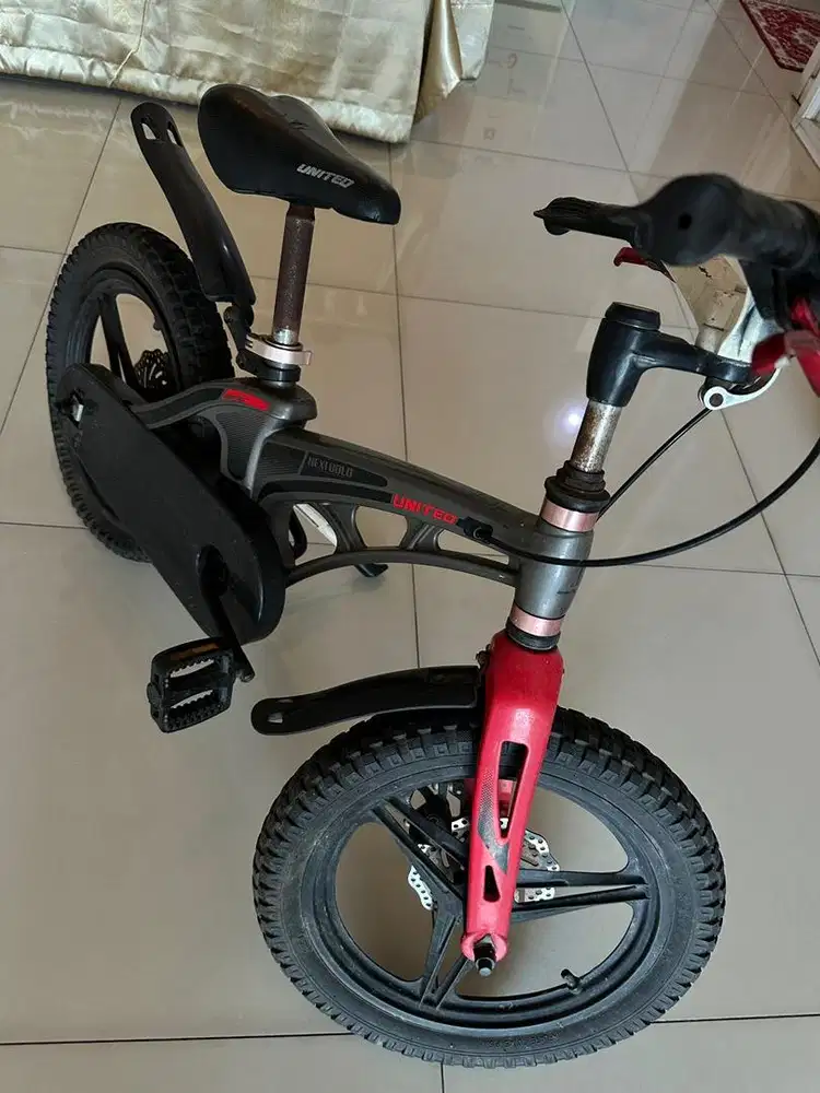 Sepeda anak anak
