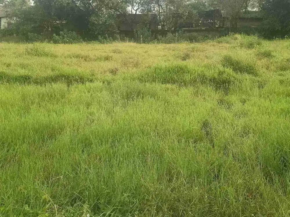 tanah serang banten