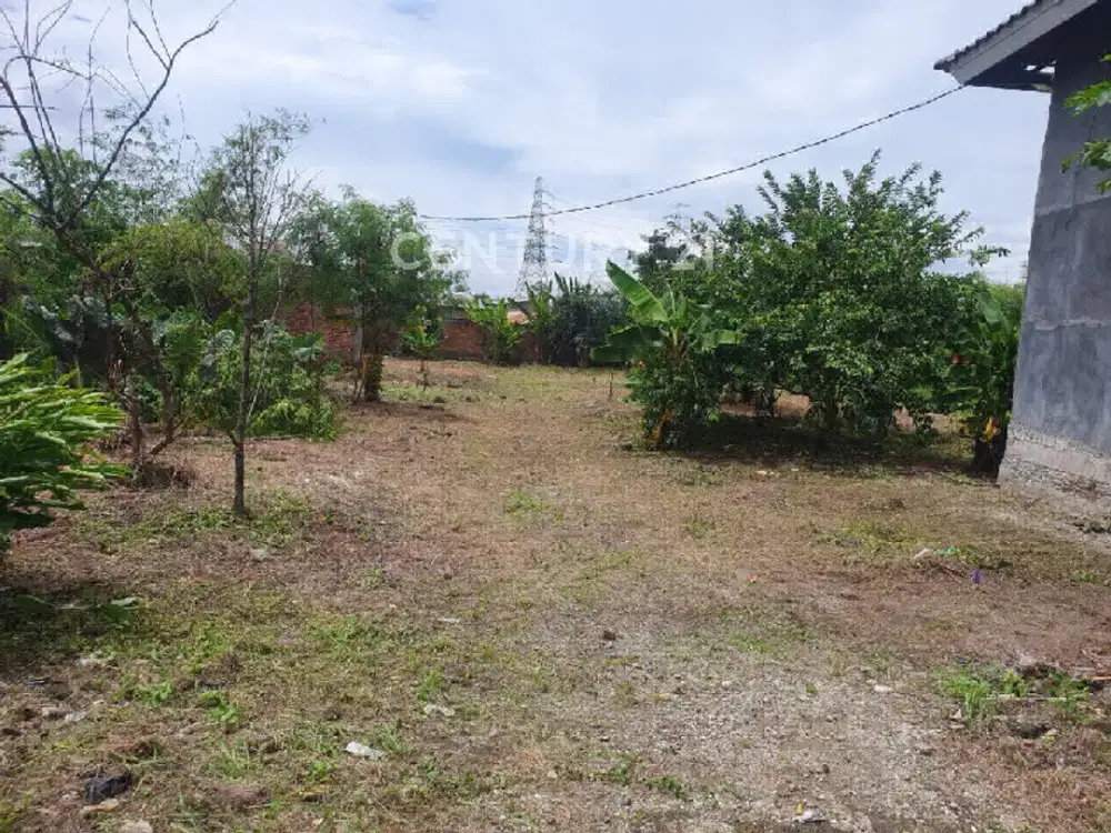 Tanah Dijual Lokasi Jl Rembulan Pitara 5 Kel. Pancoran Mas Depok