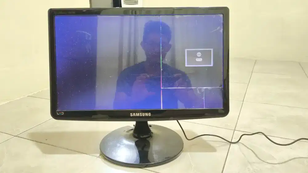 Monitor Samsung 19 Inch, LS19A100