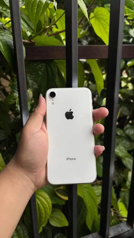 iPhone XR 64gb Inter All Operator