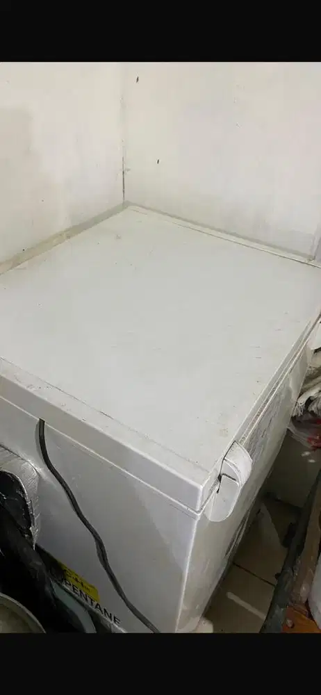 Freezer RSA 100L