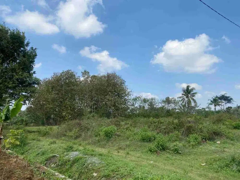 BU dijual Tanah Area Perumahan