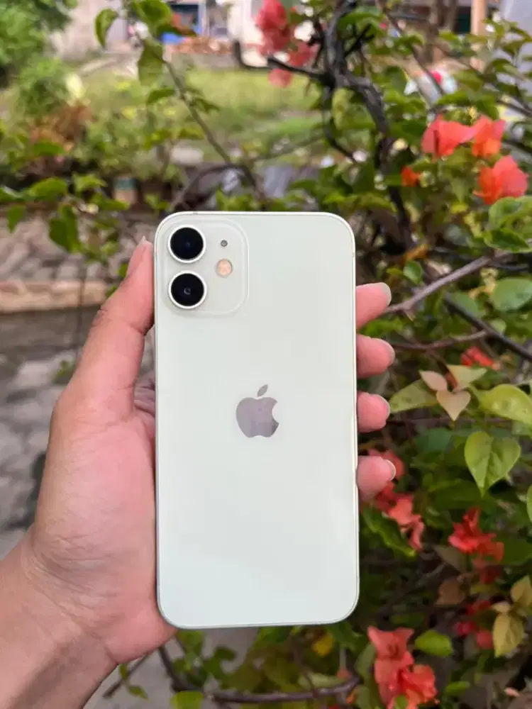 Hp Iphone 12 mini
