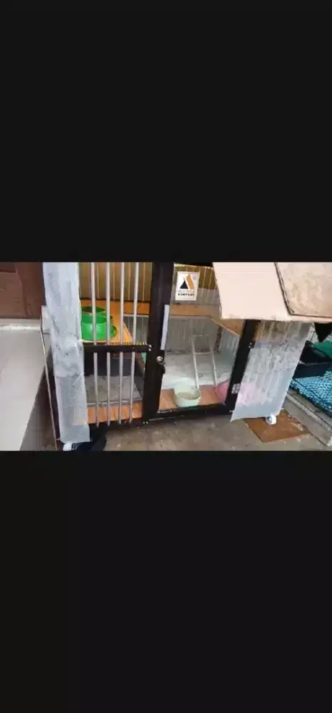 Kandang kucing alumunium
