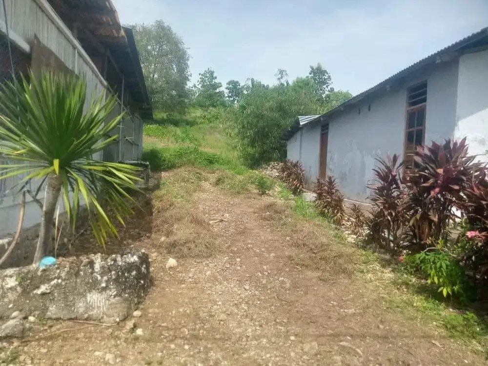 Tanah Kavling 3 strategis di pinggir jalan persis selatan SPBU Tubaki