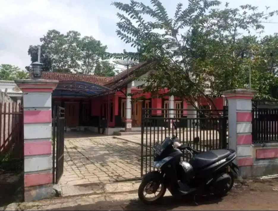 Jual Tanah-Rumah Kebun (Shm-Imb Lengkap)
