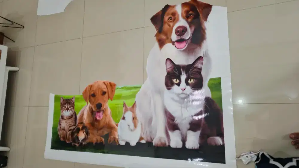 Cetak sticker printing cutting foto tulisan & gambar promosi pet shop
